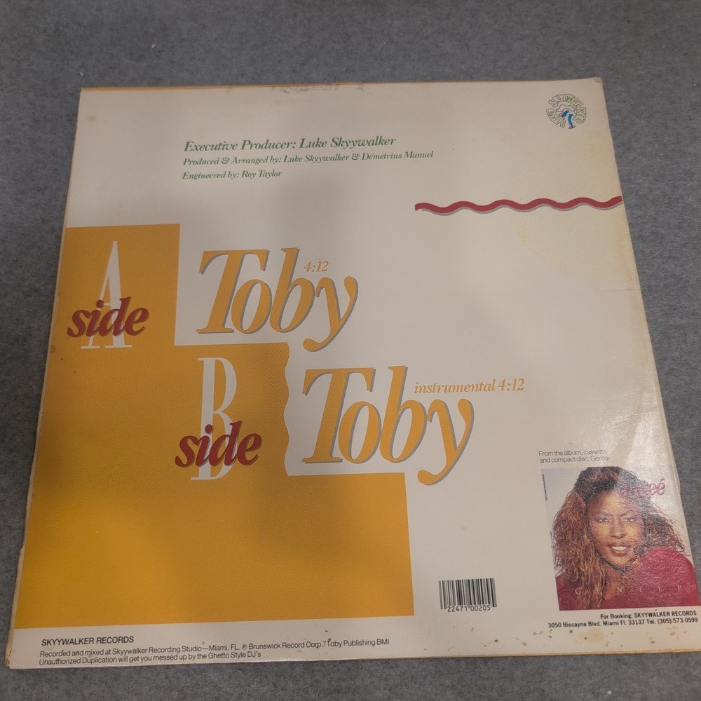 Angee Griffin Toby 12" Vinyl Single Promo Skywalker Records GR-205 Skyywalker - Picture 2 of 6